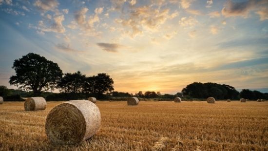 Land management